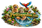 Pettopedia logo - trusted pet care and advice platform