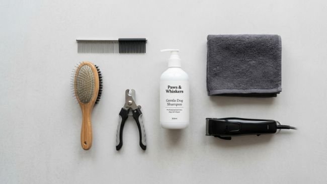 essential dog grooming tools including brush nail clippers shampoo and trimmer arranged neatly